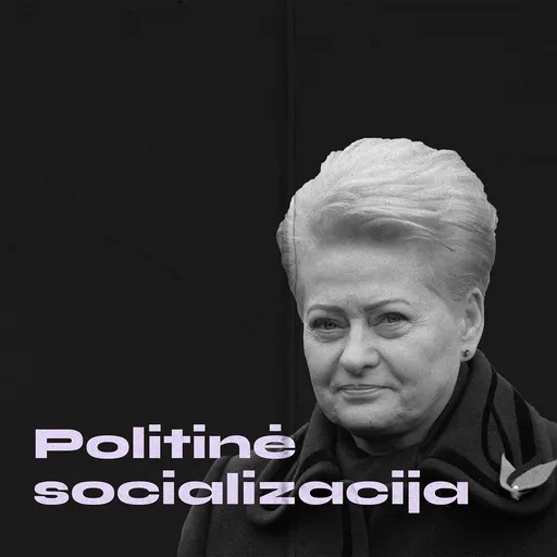 Politinė socializacija